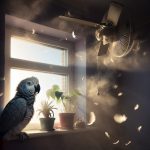 סכנות בבית לתוכים: מאווררי תקרה, חלונות פתוחים וצמחים רעילים