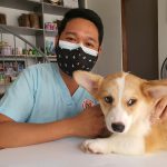 רפואה וטרינרית מרחוק